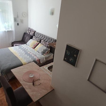 Studio Dunja Vrnjačka Banja 外观 照片