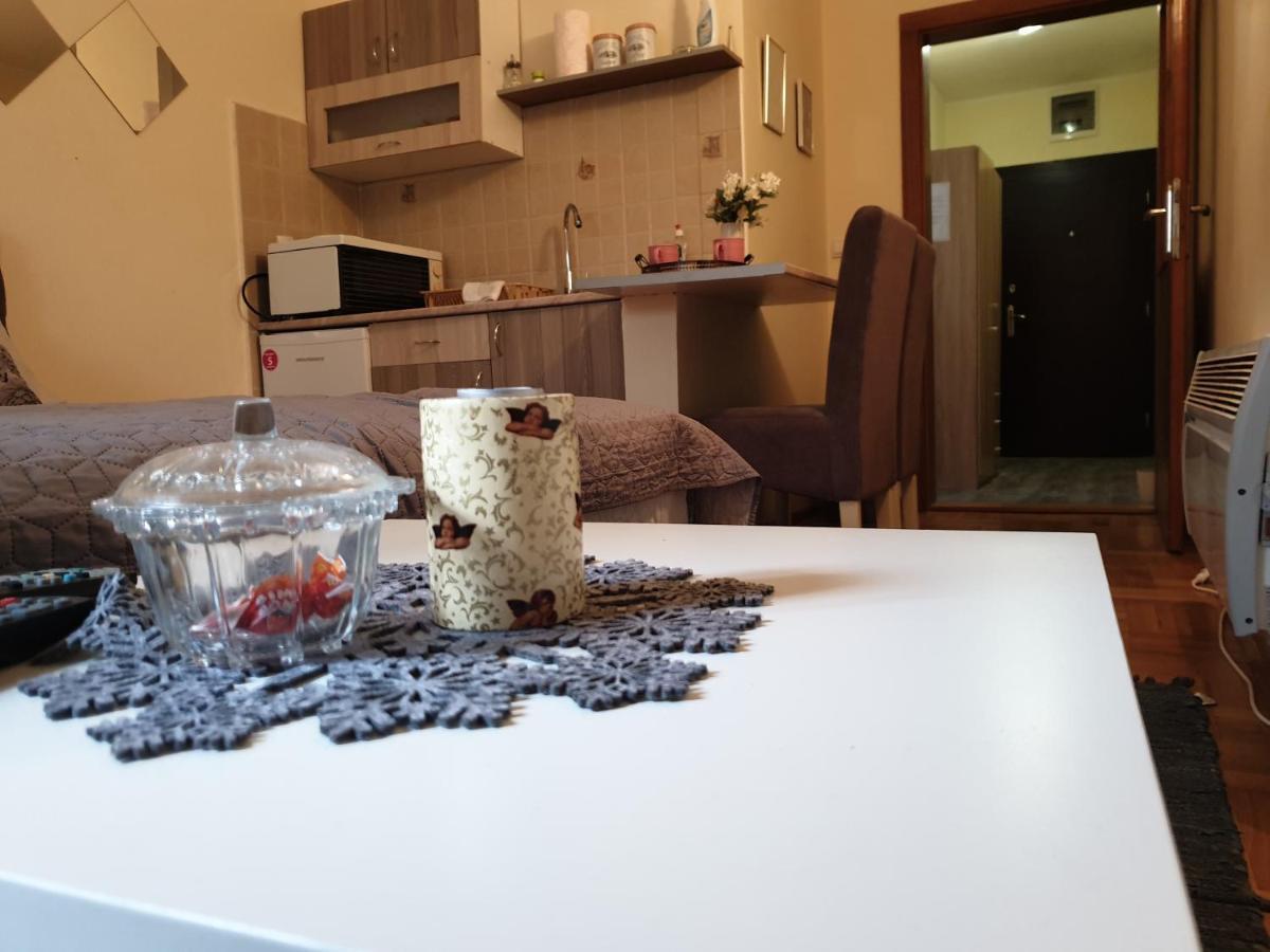 Studio Dunja Vrnjačka Banja 外观 照片